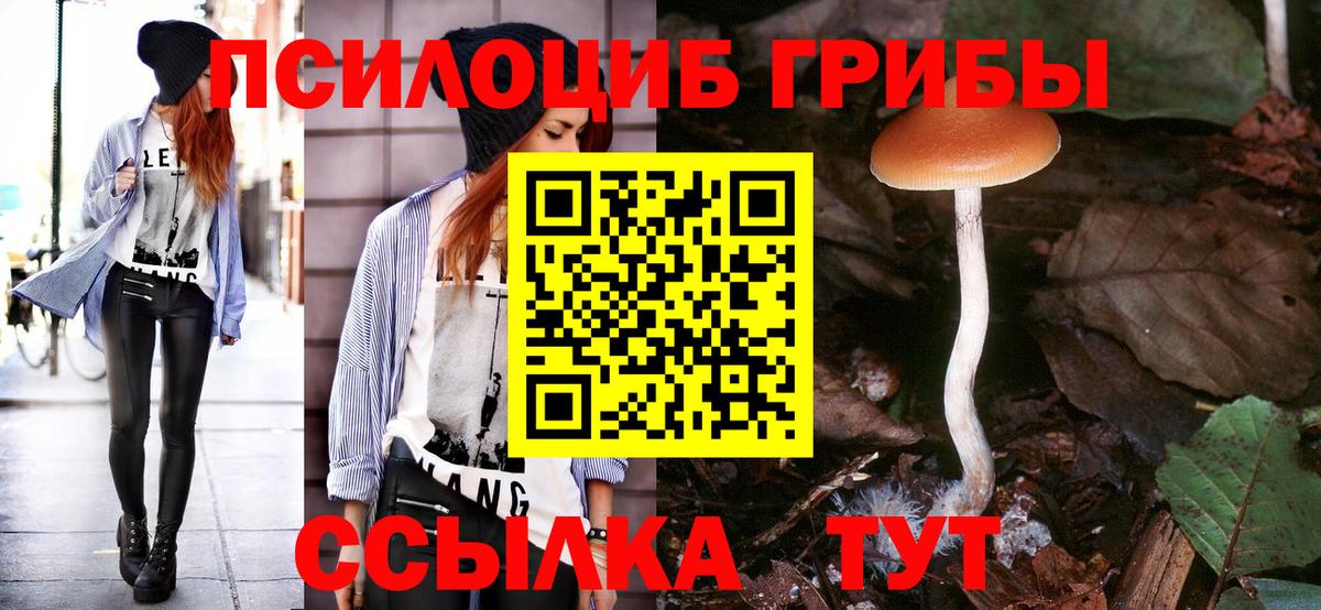 Галлюциногенные грибы Magic Shrooms Волоколамск