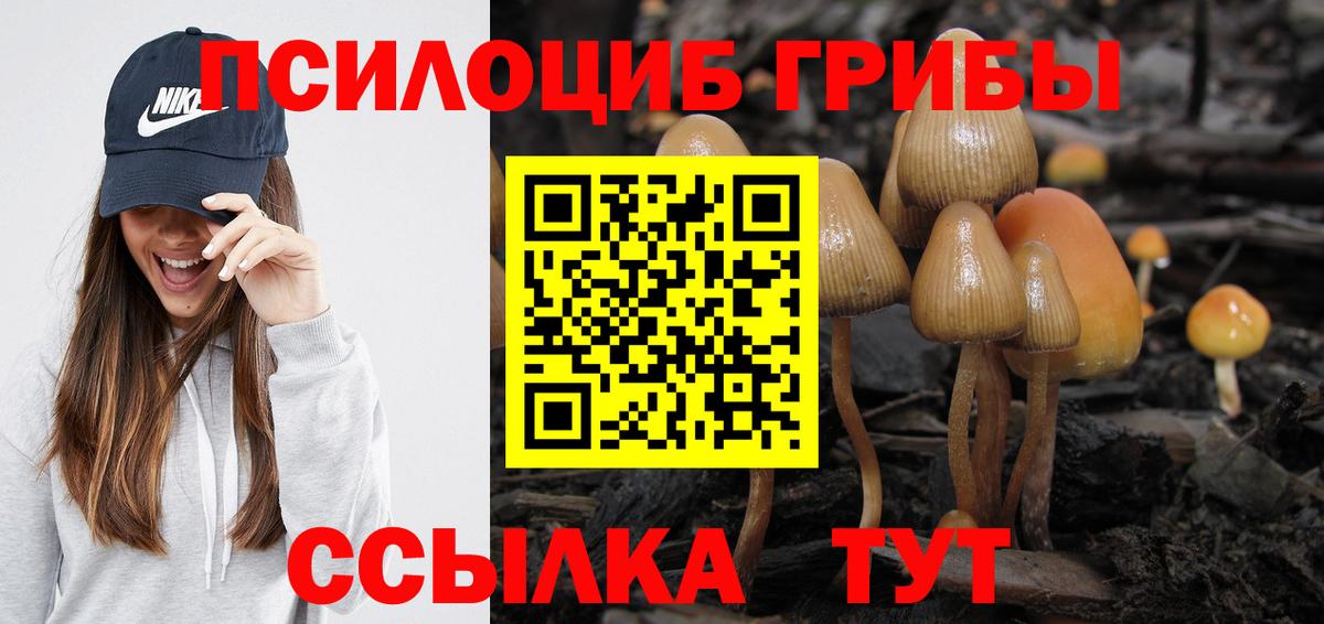 Псилоцибиновые грибы GOLDEN TEACHER  Вход с VPN  купить наркотики сайты  Волоколамск  Галлюциногенные грибы Cubensis 